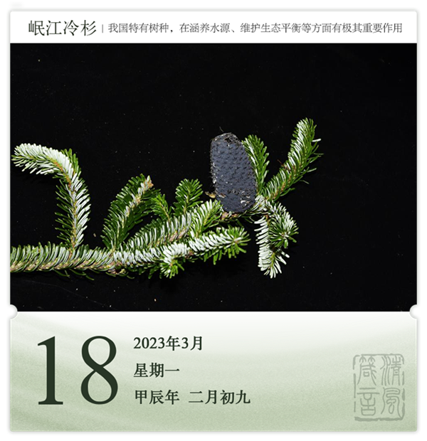 1710385677927634.png 箴历日历3-18.png