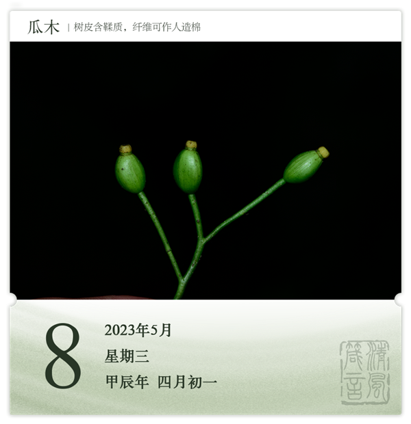 1714274741861986.png 箴历日历5-8.png