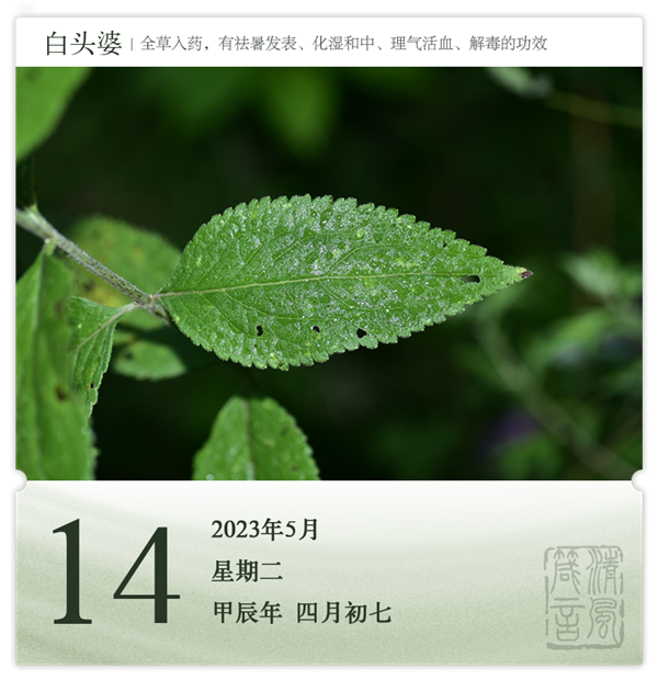 1714275486624865.png 箴历日历5-14.png