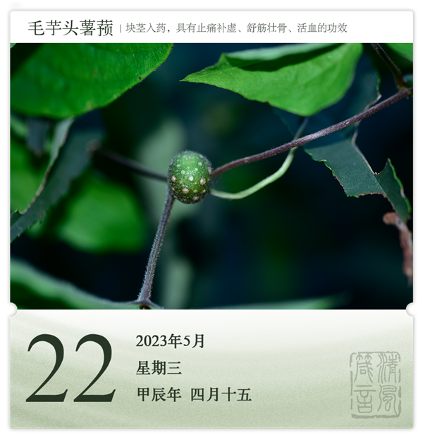 箴历日历5-22.png