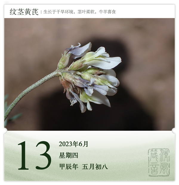 箴历日历6-13.png