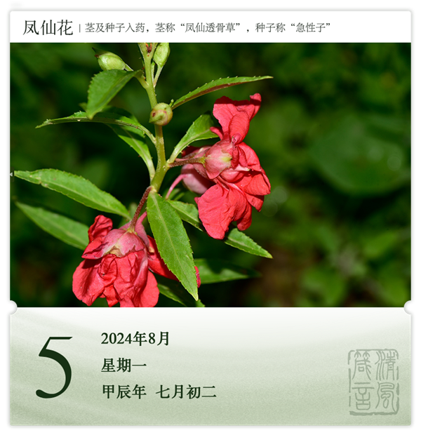 1722568379115087.png 箴历日历8-5.png