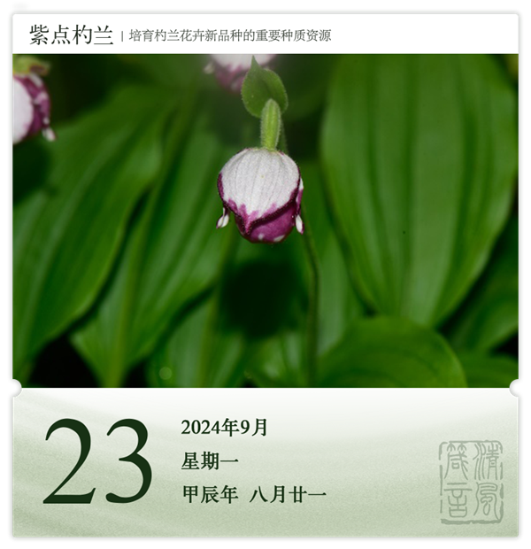 1726039818711117.png 箴历日历9-23.png