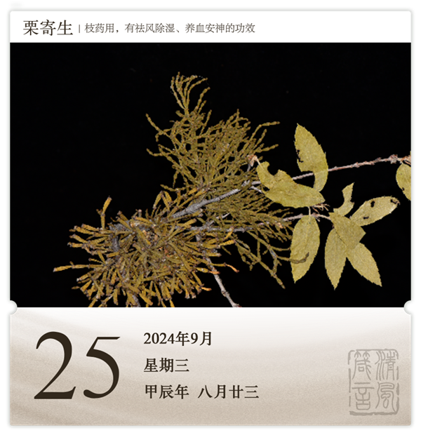 1726040398166089.png 箴历日历9-25.png