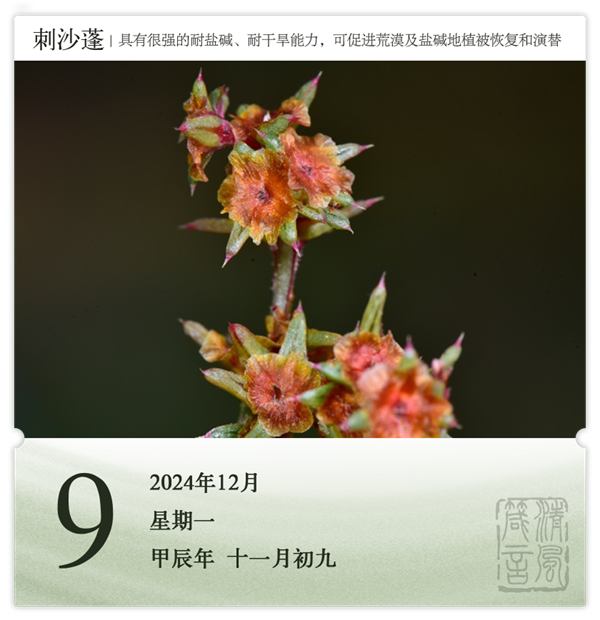 1732869058616689.png 箴历日历12-9.png