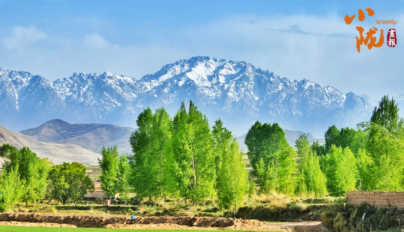 【小陇画报·508期】民乐：祁连山麓绿含雪 生态蝶变入画来
