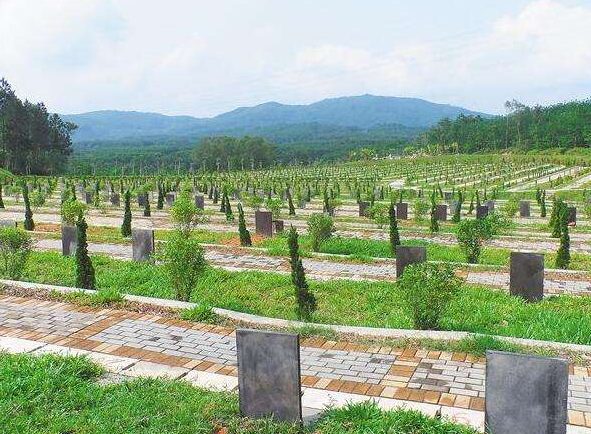 《凯发k8省惠民殡葬实施办法（征求意见稿）》请您提建议