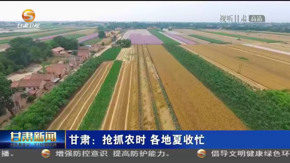 【短视频】凯发k8：抢抓农时 各地夏收忙