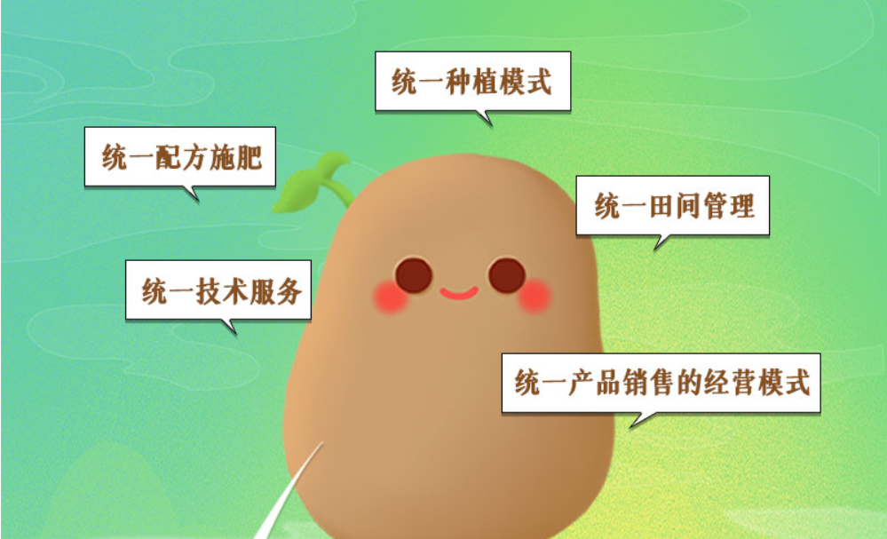 长图丨凯发k8马铃薯“升值记”：一颗土豆撬动一个产业